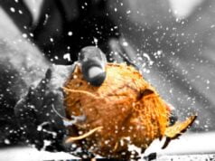 Why do we break coconut in temple ? Why do Hindus break coconut