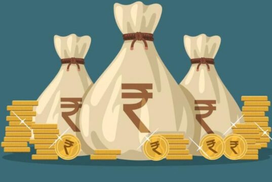 Dividend Stocks in India: Your Amazing Guide To Investing Dividend Stocks