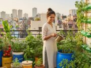 Urban Gardening in India: 7 Amazing Secrets Of Success Urban gardening in india
