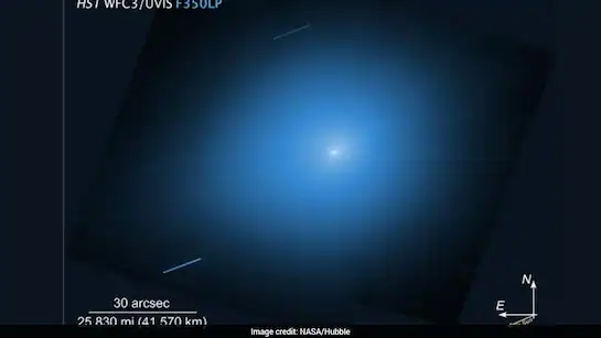 Interstellar comet